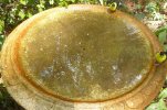 Birdbath3.jpg